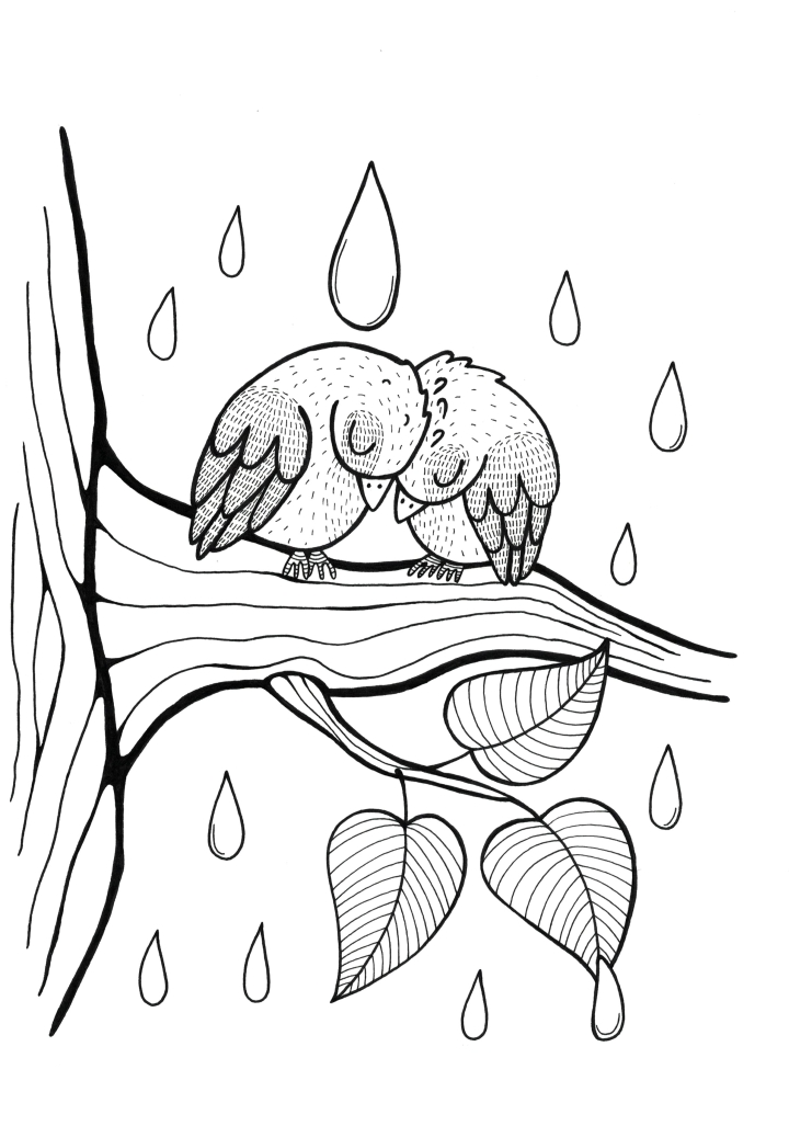 Jak přelstili kočku